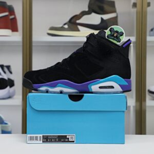 Jordan Air Jordan6"Aqua"